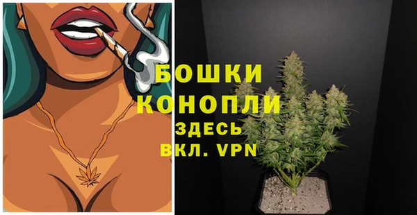 сатива Лагань